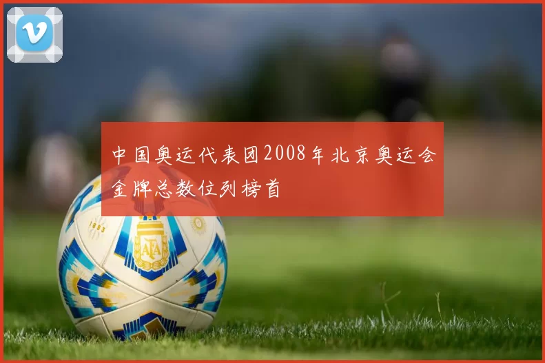 中国奥运代表团2008年北京奥运会金牌总数位列榜首