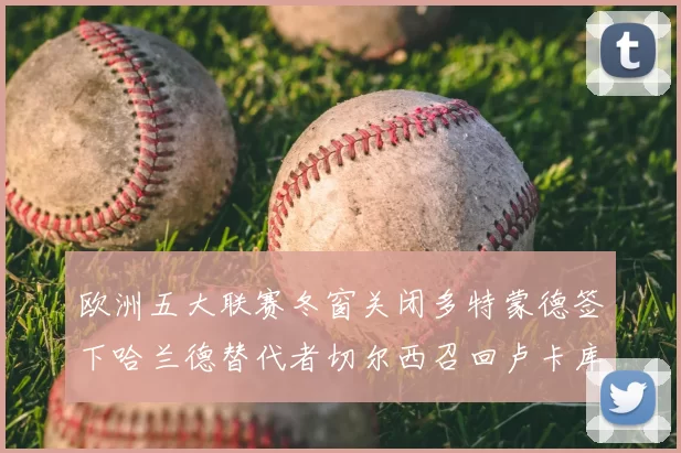 欧洲五大联赛冬窗关闭多特蒙德签下哈兰德替代者切尔西召回卢卡库