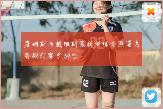 詹姆斯与戴维斯最新训练合照曝光备战新赛季动态