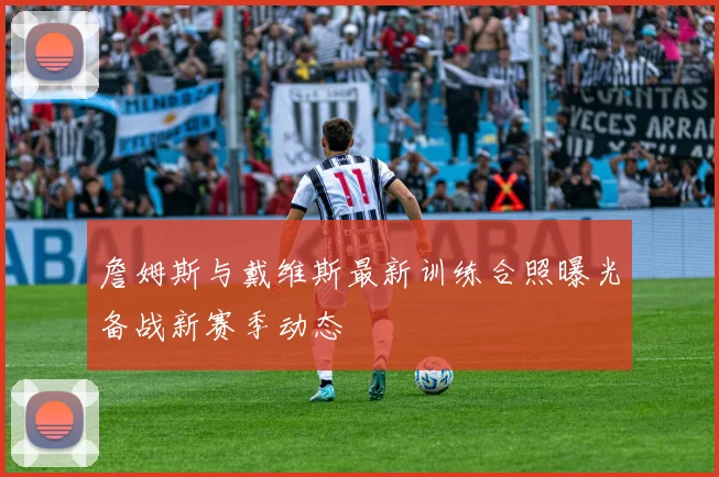 詹姆斯与戴维斯最新训练合照曝光备战新赛季动态